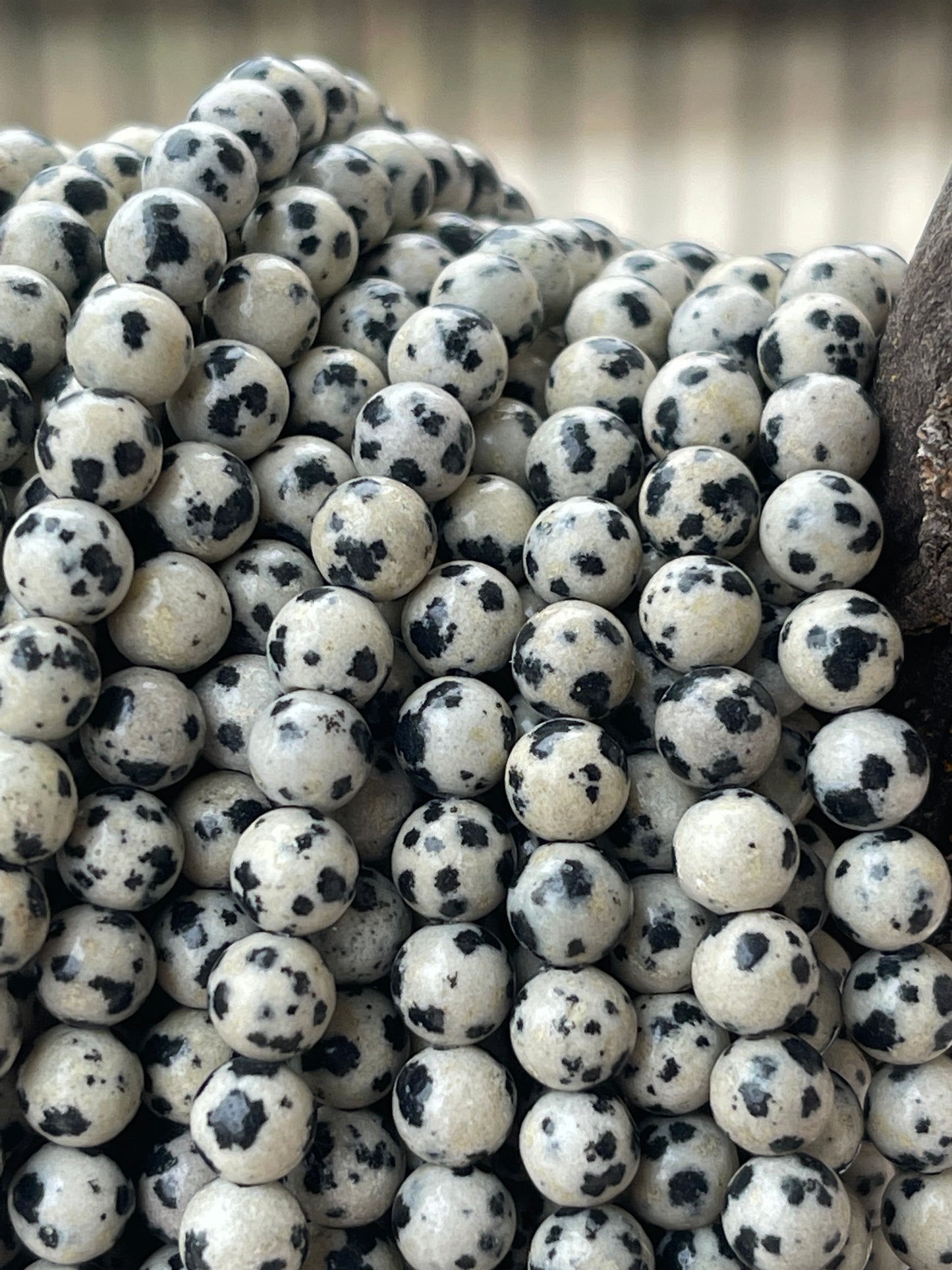 Dalmatian Jasper