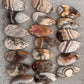 Picture Jasper Pendant