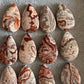 Picture Jasper Pendant