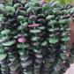 Ruby in Zoisite