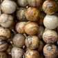 Picture Jasper