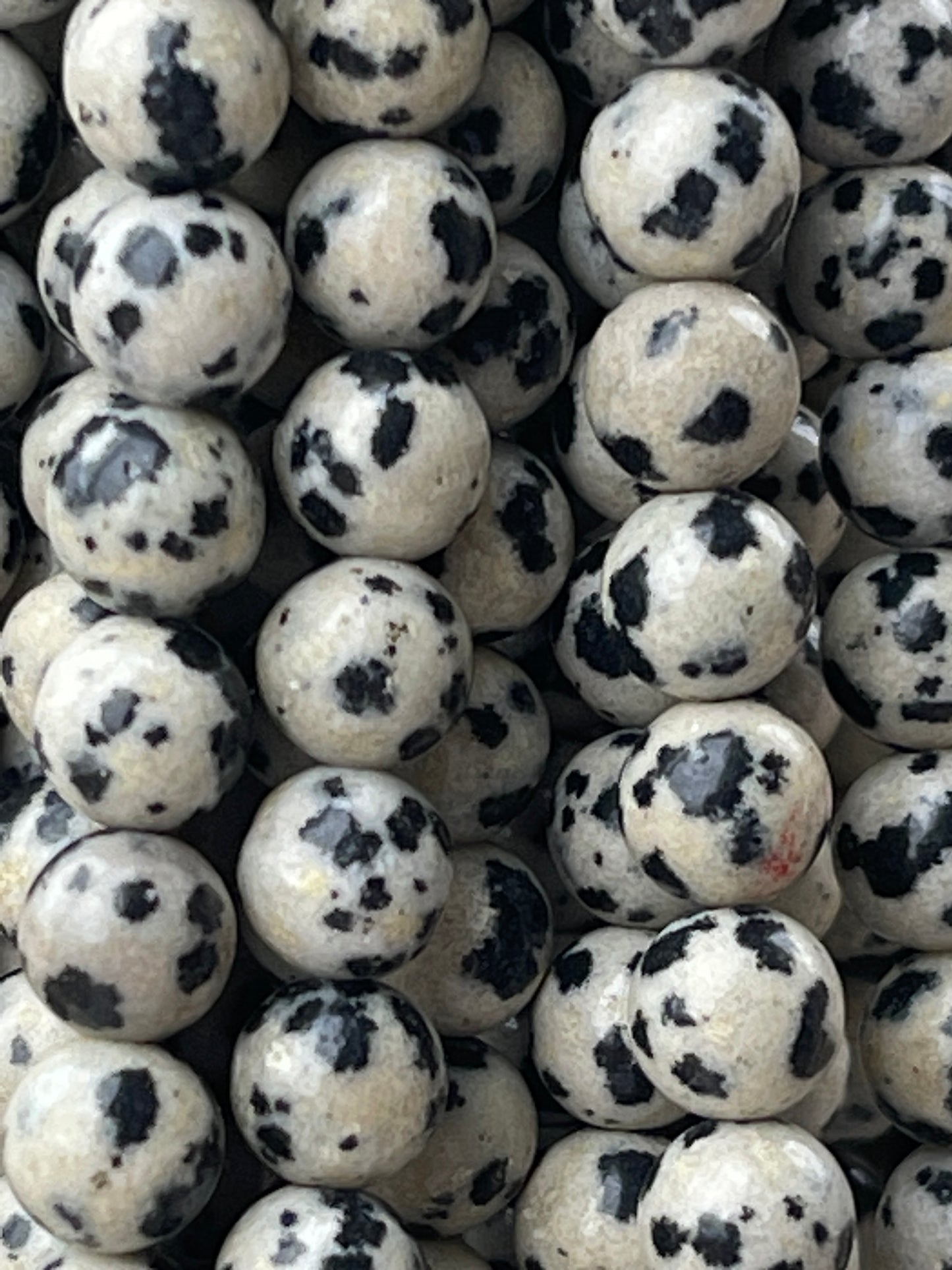 Dalmatian Jasper