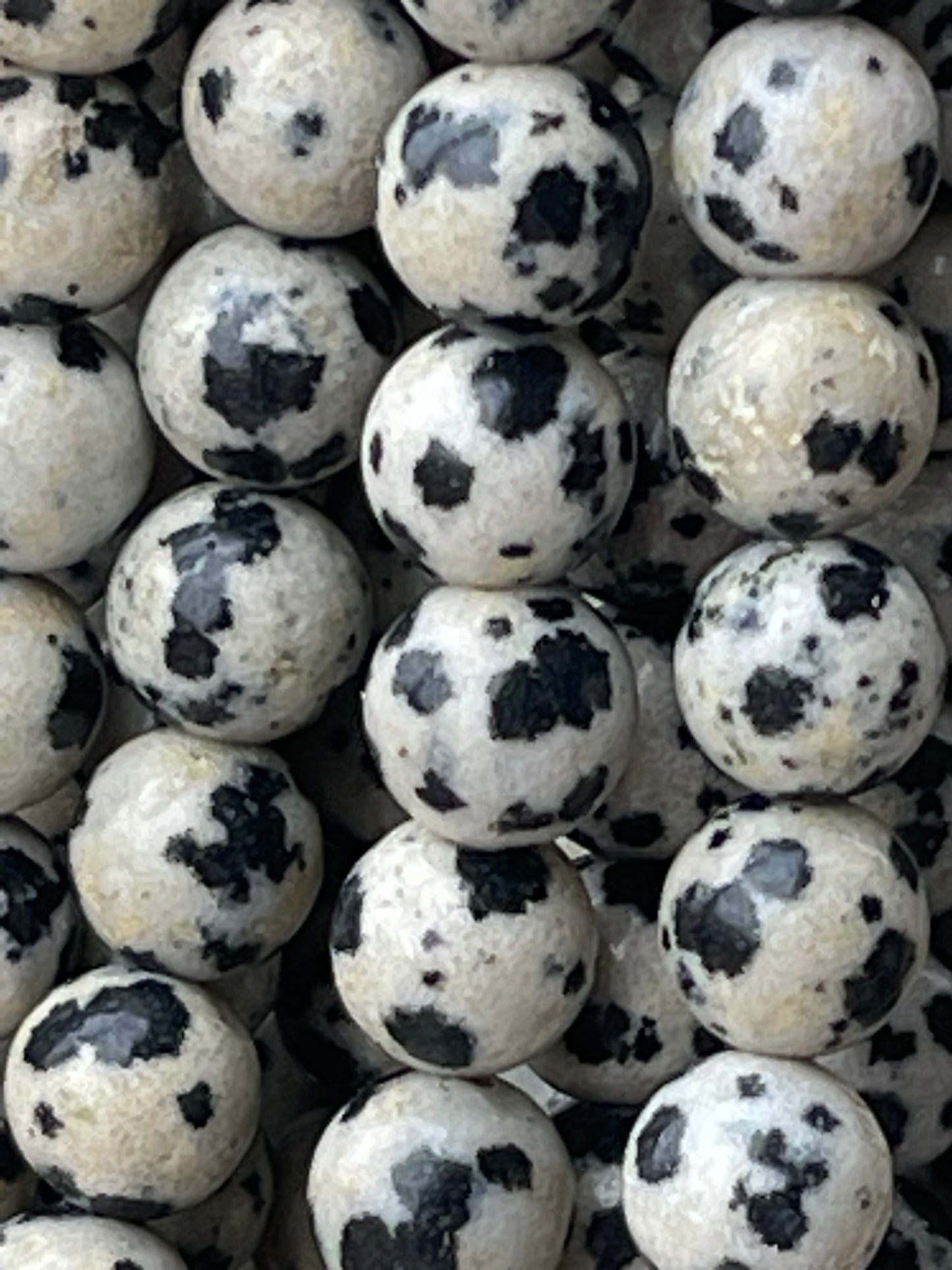Dalmatian Jasper